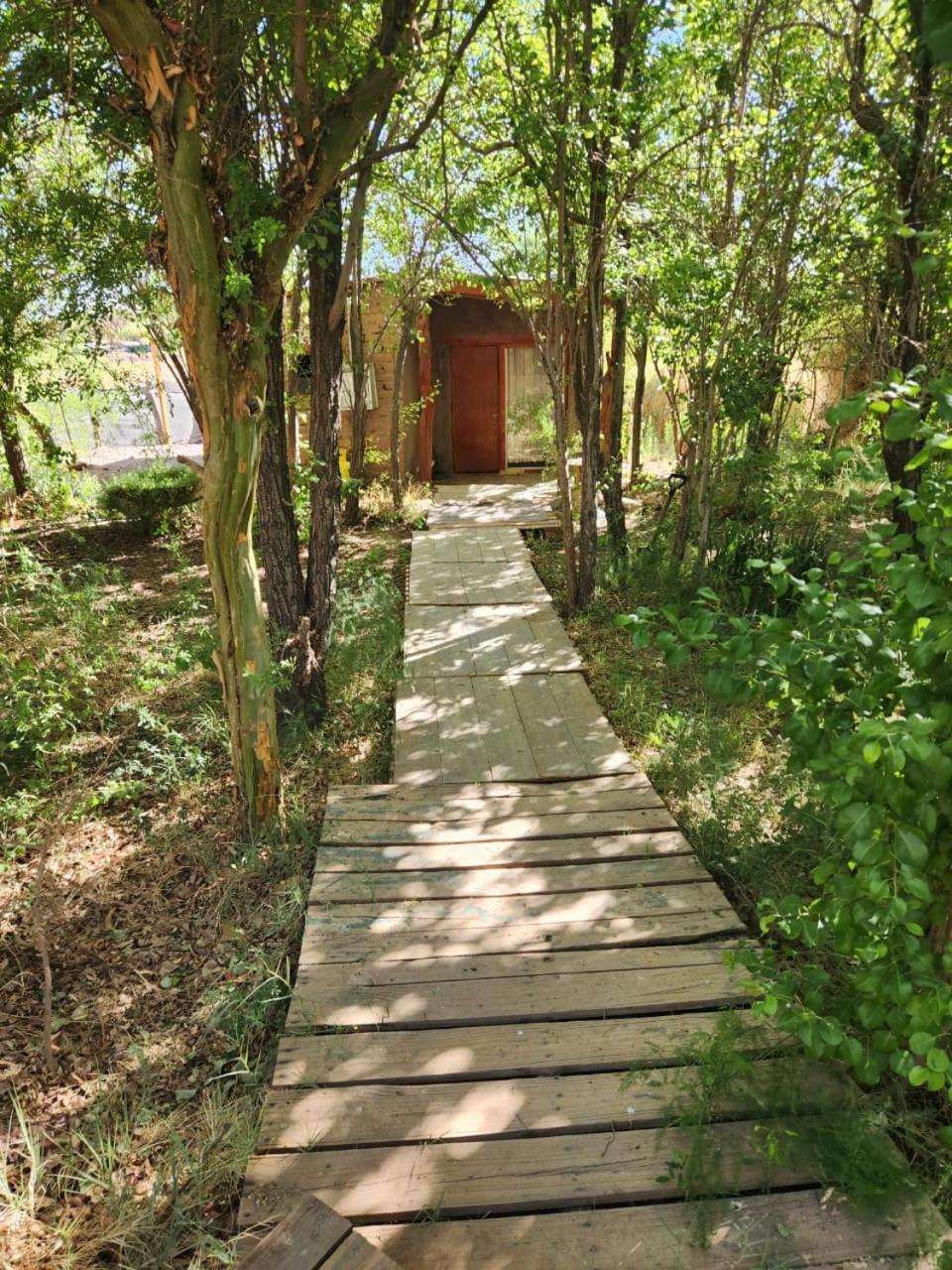 Hospedaje Rural Casa De Felix 圣佩德罗·德·阿塔卡马 外观 照片